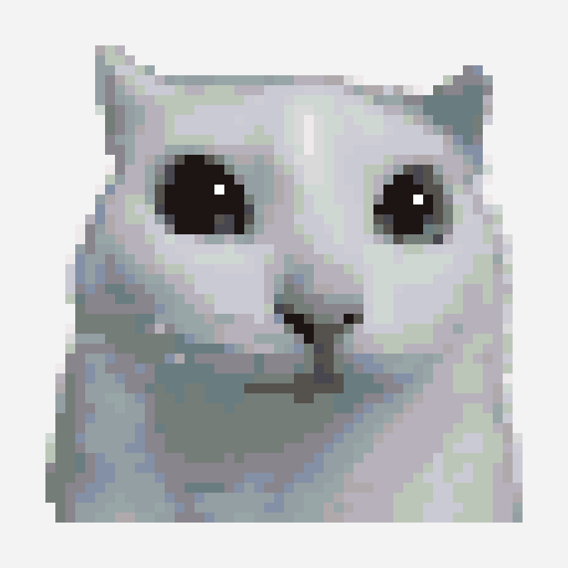 猫meme表情包2 hama bead pattern