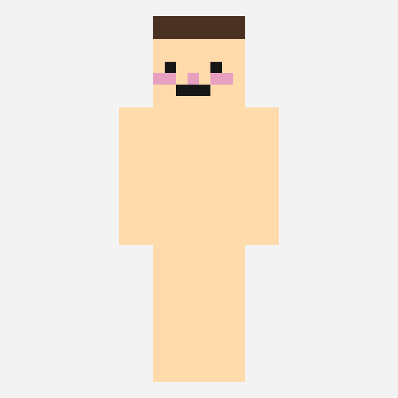 푸딩 minecraft skin pattern