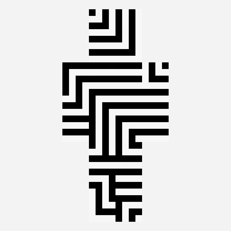 黑白 minecraft skin pattern
