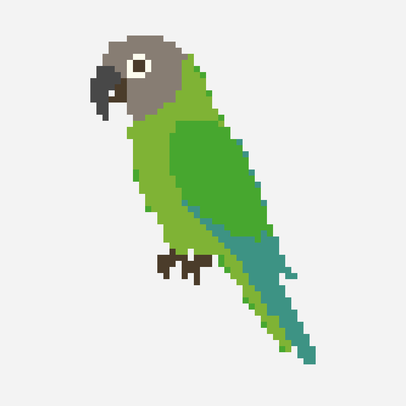 Green parrot embroidery cross stitch pattern, 39×57 grid