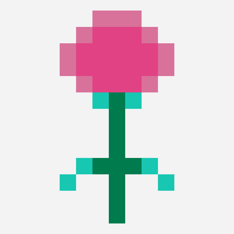 Pink tulip