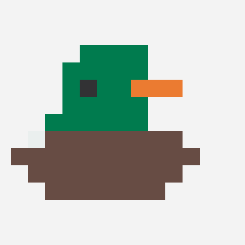 Mallard duck