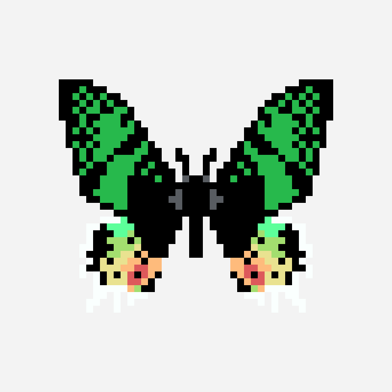 Madagascan Sunset Moth perler bead pattern, 50×50 grid
