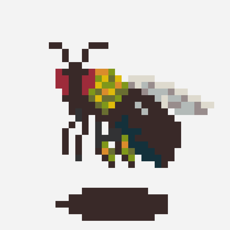 Beetle